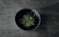 水墨轩茶舍